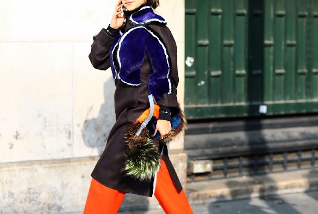 photo delfina-delettrez-fendi-fur_zps6e5ef8cf.jpg