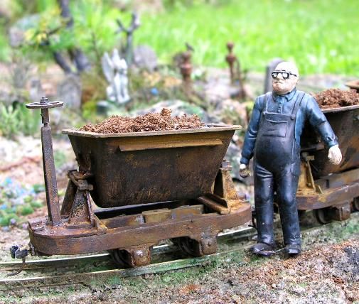 Bild