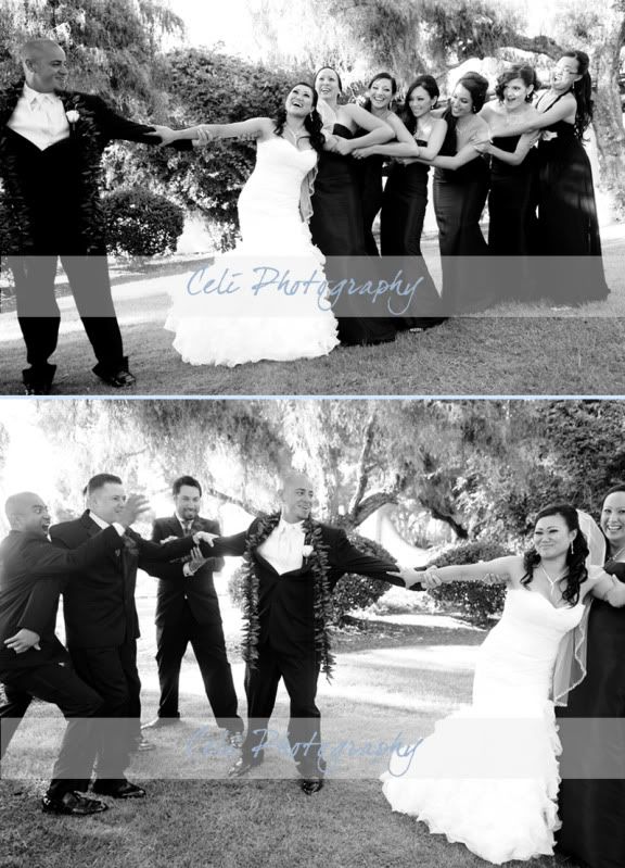 Celi Photography,Presidio park,Professional wedding photos