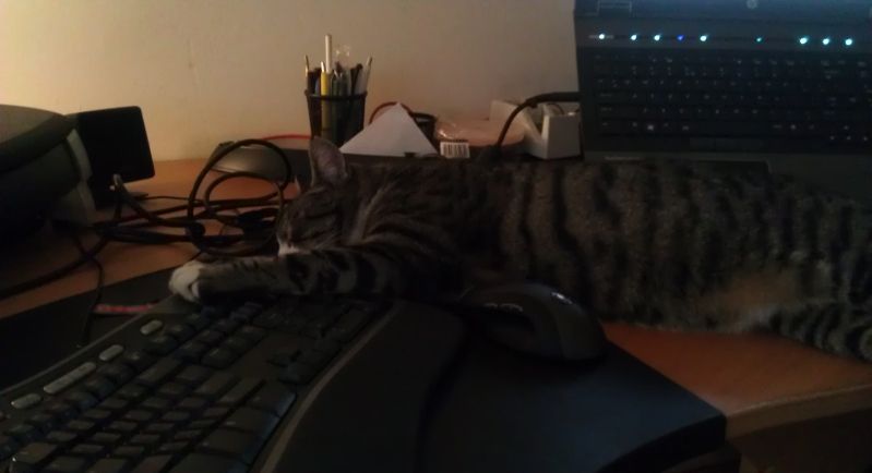2012-08-21193626.jpg