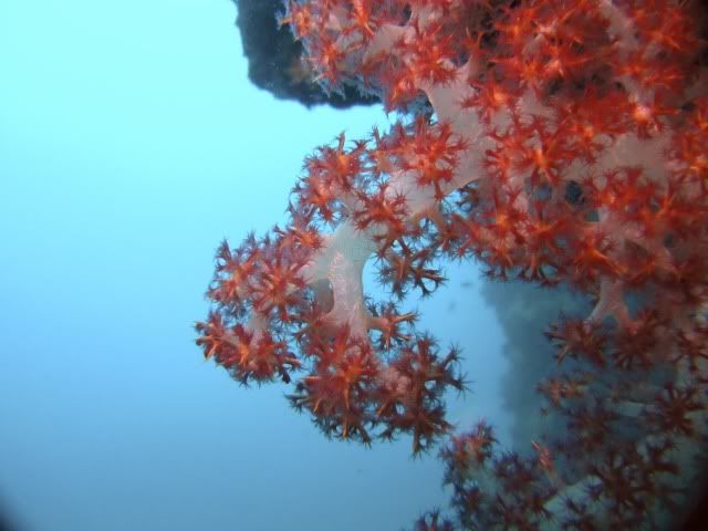DSCN0352.jpg