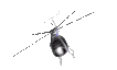 helicopter-b.gif
