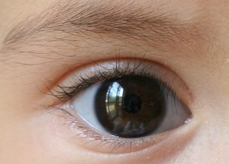 IMAGE: http://i42.photobucket.com/albums/e344/mavericksupersonic/Lens%20Comparison/eye100.jpg