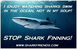 Say No to Sharkfin