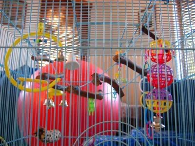 5May2006-BlinkandOzzie006-1Custom.jpg