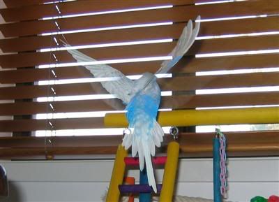 5May2006-BlinkandOzzie031-1Custom.jpg