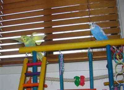 5May2006-BlinkandOzzie035-1Custom.jpg