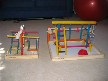 BlinkiesNewGym001Custom.jpg