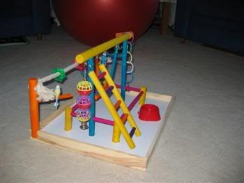 BlinkiesNewGym002Custom.jpg