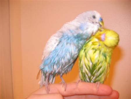July262006-bathtime001Custom.jpg
