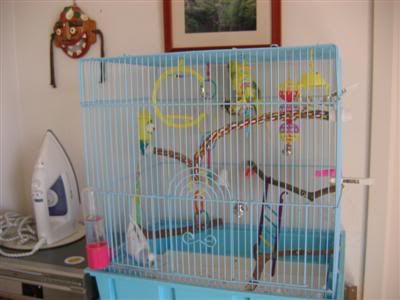 cageshare009Custom.jpg