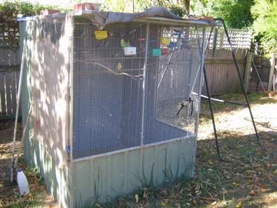 doggies012Custom.jpg