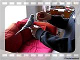 th_ClickerTraining002.jpg