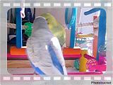 th_blinkandmoz031.jpg