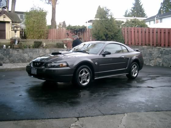 Mustang009.jpg