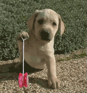 760b7a8b.gif