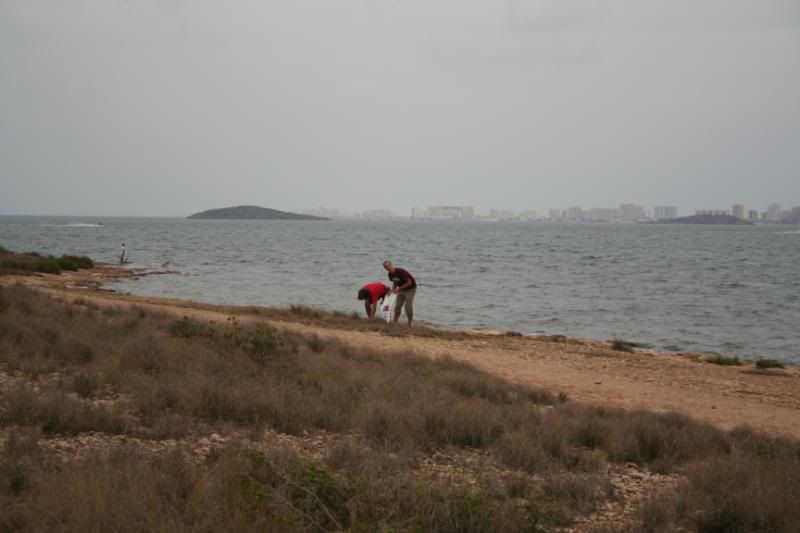 pareja008.jpg