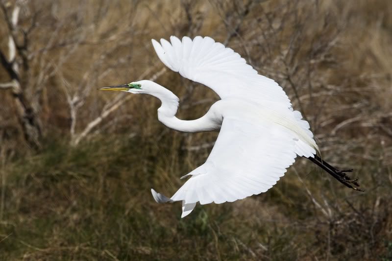 IMAGE: http://i42.photobucket.com/albums/e349/aidan_finn/Virginia/IMG_1369_1.jpg