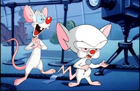 Pinky and the Brain Pictures, Images and Photos