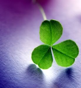 Shamrock Pictures, Images and Photos