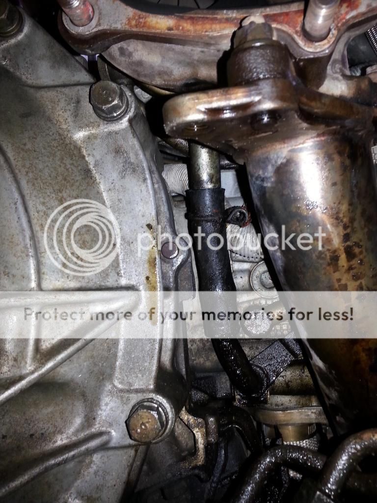 Unknown Oil Leak by the Turbo NASIOC