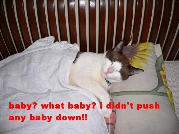 sleep
