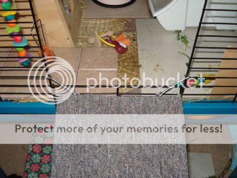 Ideas on making a bunny ramp? | Rabbits Online Pet Rabbit & Bunny Forum