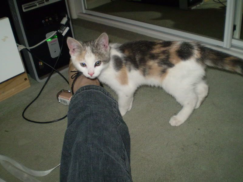 Photobucket