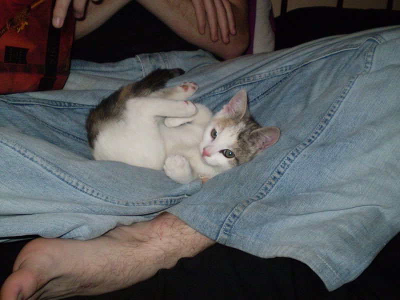 Photobucket