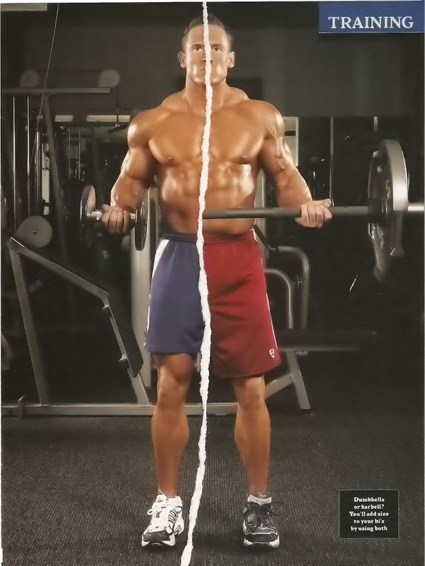 shaun t workout videos