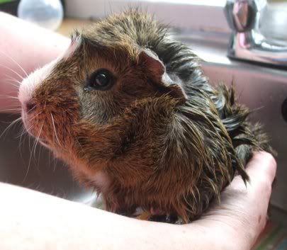 BathTimeButtons3.jpg