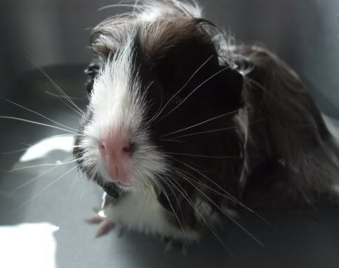 BathTimeHolly3.jpg