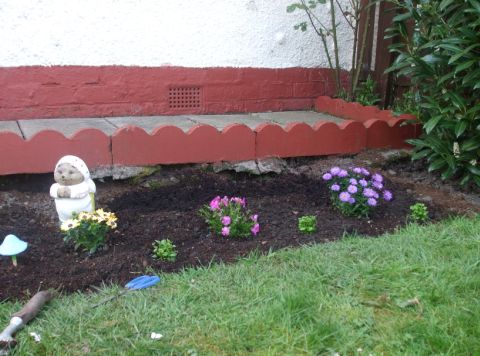 Garden3.jpg