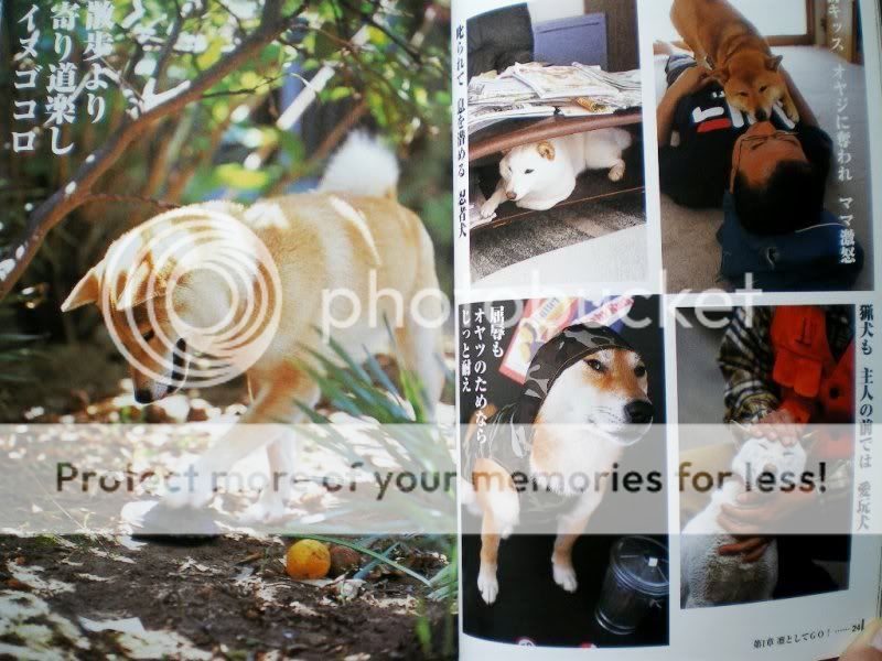 SHIBA AKITA INU DOGS PHOTO BOOK Vo2 HACHIKO  