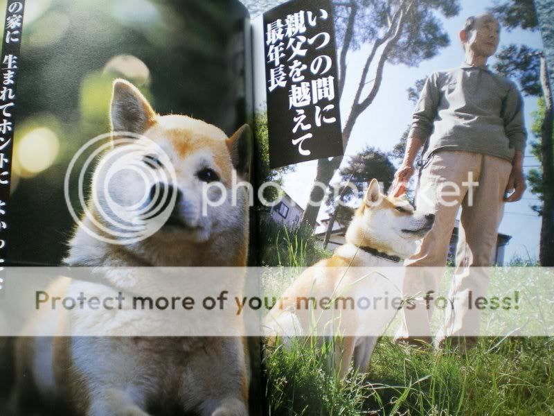 SHIBA AKITA INU DOGS PHOTO BOOK Vo2 HACHIKO  