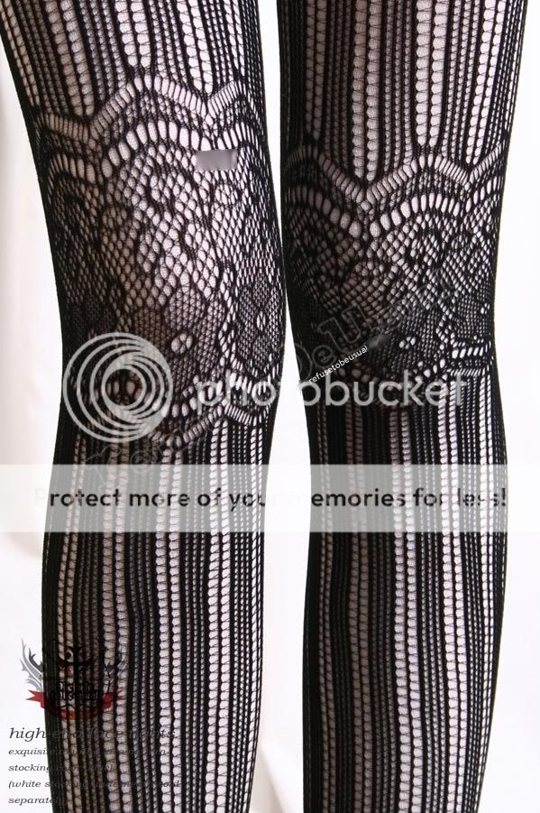 2 Pair Combo (French Lace Pantyhose Over Solid White) Hosiery ...